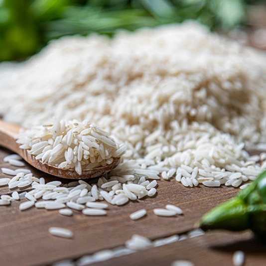 بازرگانی برنج اکبریان