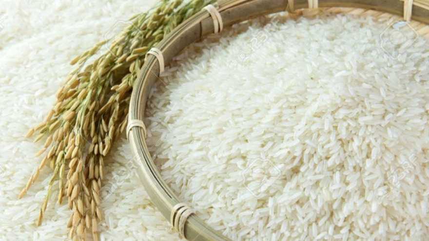 فروش انواع برنج های ایرانی برنج فروشی شالیزار در مازندران