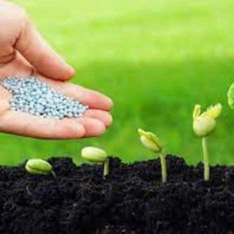 فروشگاه کشاورزی دشت سبز بقایی