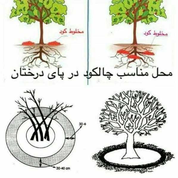 فراوری وتولید انواع کود ارگانیک