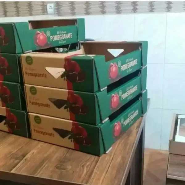 کارتن سازی و جعبه سازی رسول