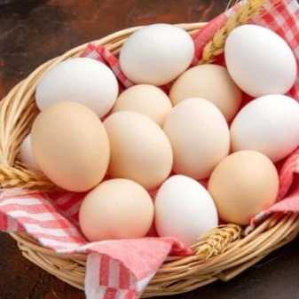 تخم مرغ شریف زاده