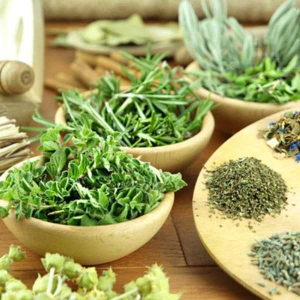 انواع صیفی جات خشک و تر امیری