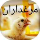 فروشگاه خوراک دام و طیور مرغداران در تالش