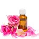 تولید گلاب سنتی نيلو در فسا فارس