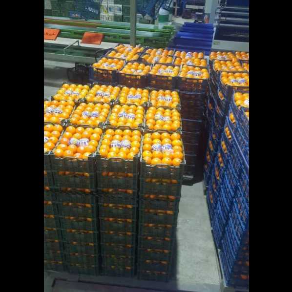 بازرگانی اسدالهی