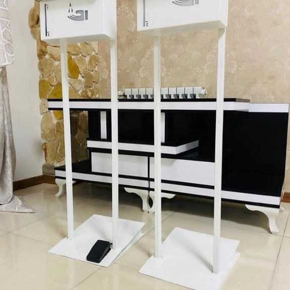 الینا استند