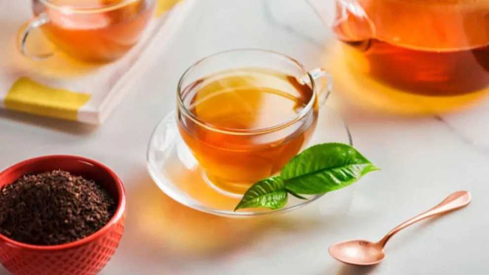 چقدر در مورد خواص چای بهاره و علت نام گذاری آن می‌دانید؟