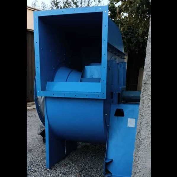 نسیم فن