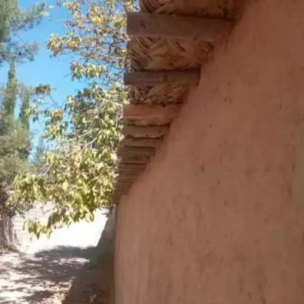 فروش و اجرای کاهگل مدرن غلامی