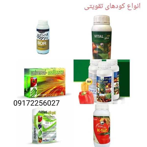 داروخانه گیاه پزشکی حسنی
