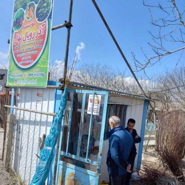 نهالستان