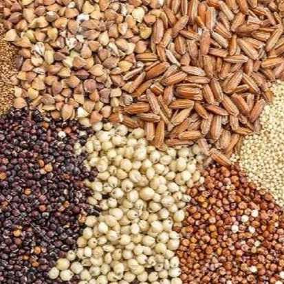 خوراک دام و طیور کاسپین دانه