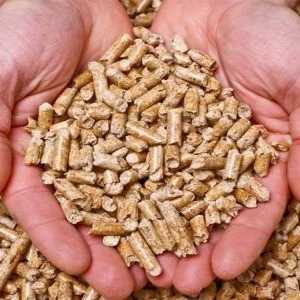 خوراک دام و طیور کاسپین دانه