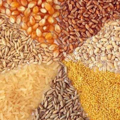 خوراک دام و طیور کاسپین دانه