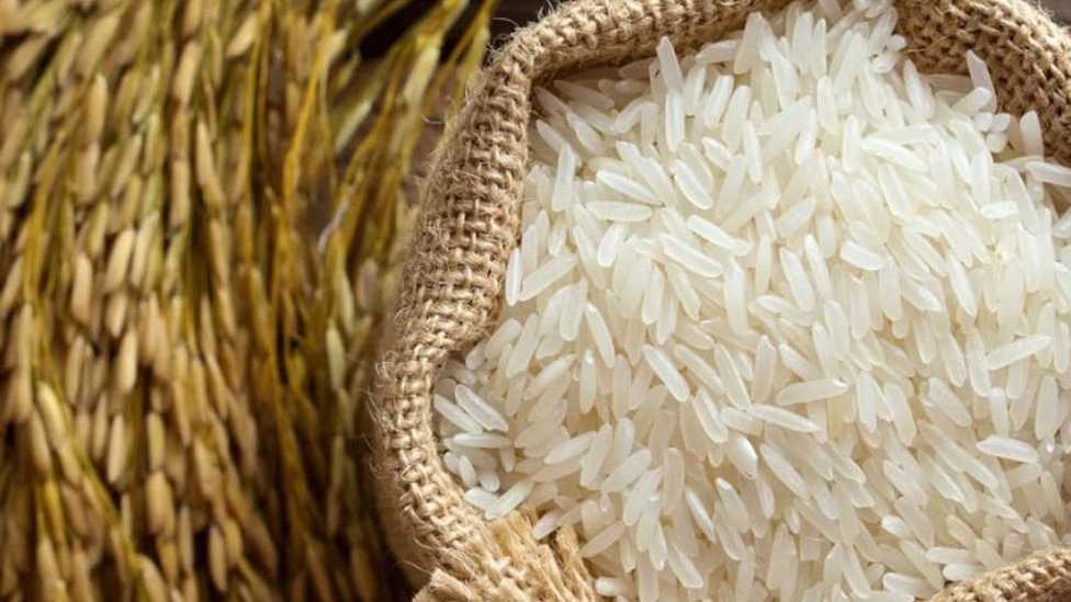 ☑️ برنج خوب چه برنجی است و خصوصیات آن چیست