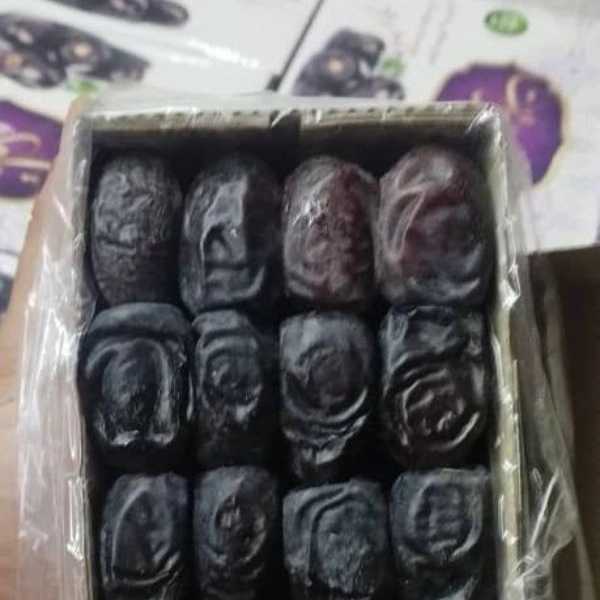 صادرات خرمای درجه یک مضافتی برادران امجزی نژاد در کرمان