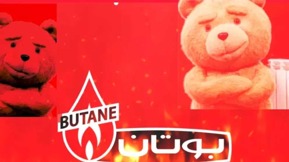 نمایندگی پکیج ایران رادیاتور و بوتان در استان البرز
