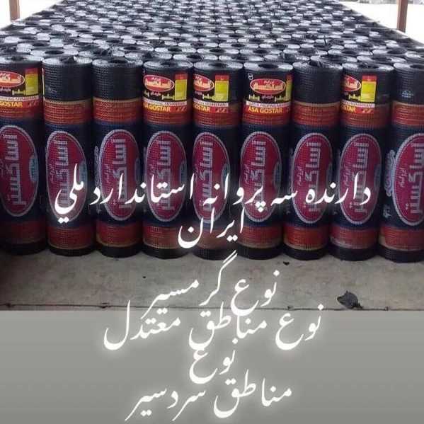 مدیر عامل آسابام دلیجان