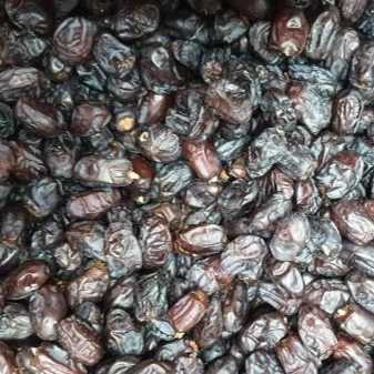موجود در تناژ بالا تا ۲۰ تن