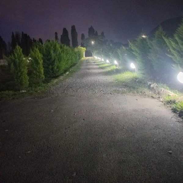 چشمه آب گرم