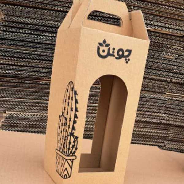 کارتن سازی ایرانیان