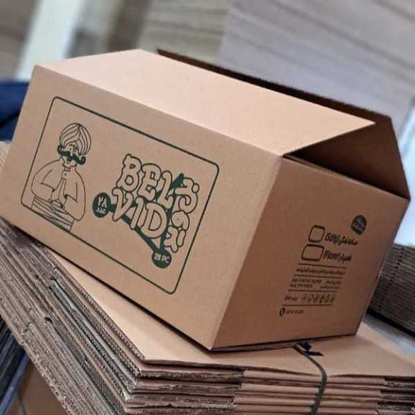 کارتن سازی ایرانیان