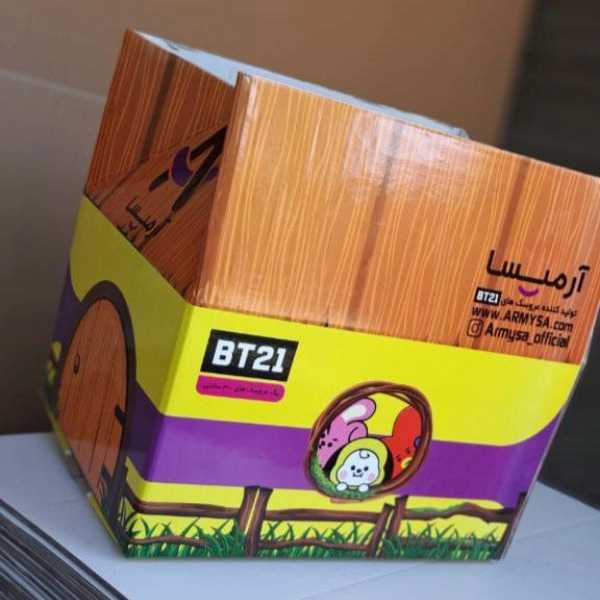 کارتن سازی ایرانیان