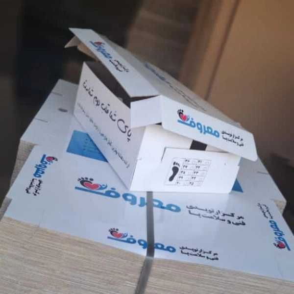 کارتن سازی ایرانیان