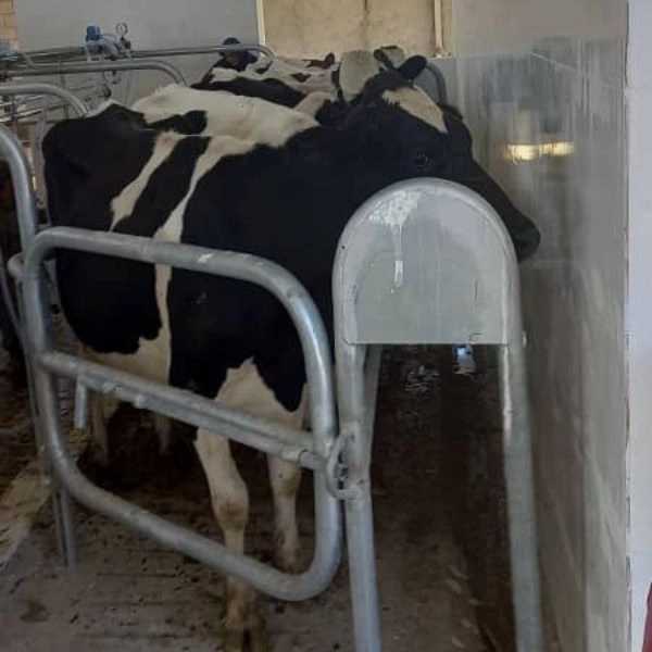 طاها صنعت
