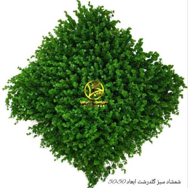گرین وال و فنس چمنی