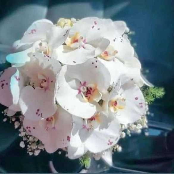 گل فروشی جردن