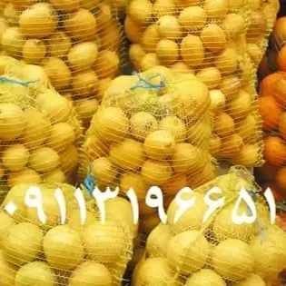 توری میوه و سبزی