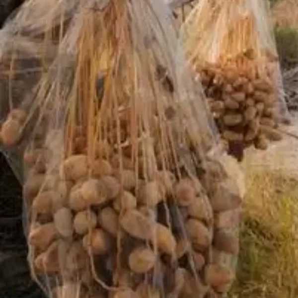 شبکه توری ضدسرمازدگی