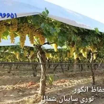شبکه توری ضدسرمازدگی