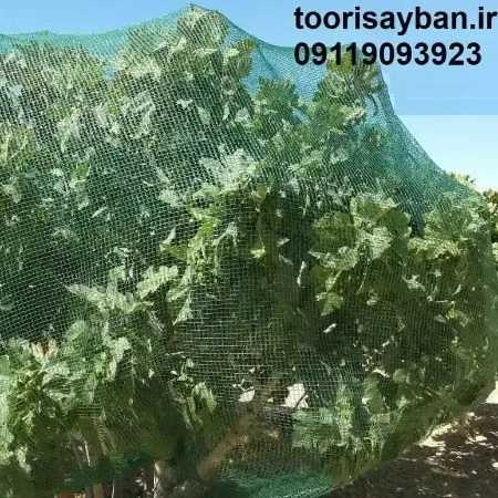 شبکه توری ضدسرمازدگی