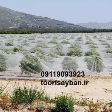 شبکه توری ضدسرمازدگی