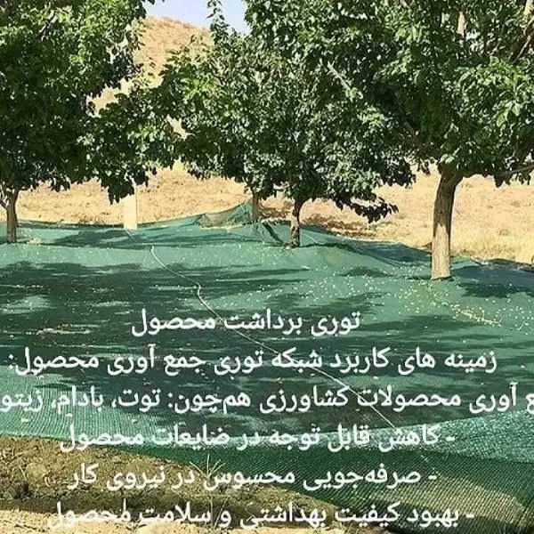 شبکه توری جمع آوری محصول