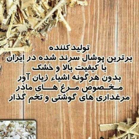 کود مرغی و تولید و پخش پوشال مرغداری