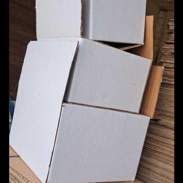 کارتن سازی بهروز