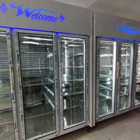 دنیای یخچال حسینی