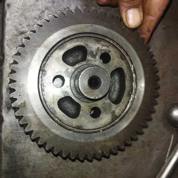جرثقیل میاح گستر جنوب
