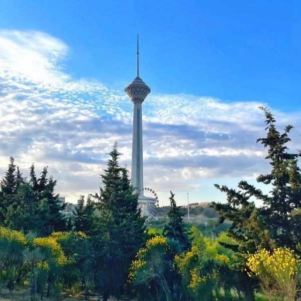 دپارتمان املاک آتا در کیش