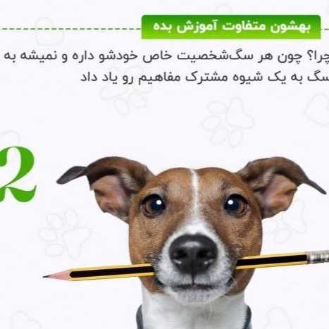 سگ های کار هیرو k9