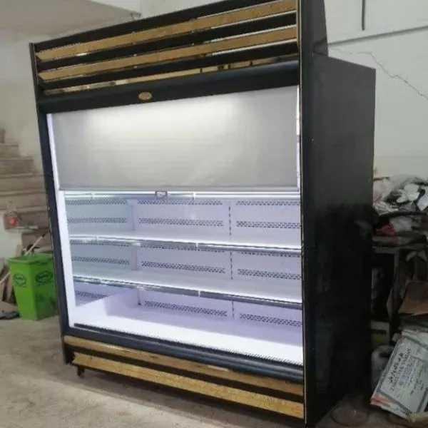 یخچال صنعتی دلفین