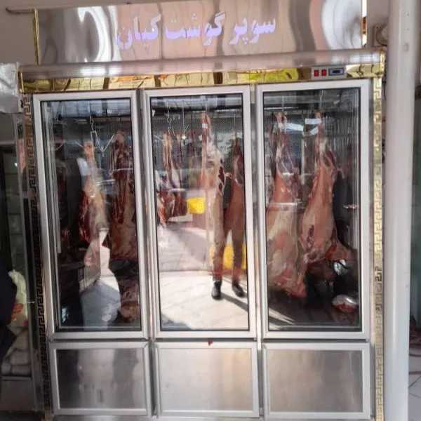 یخچال صنعتی دلفین