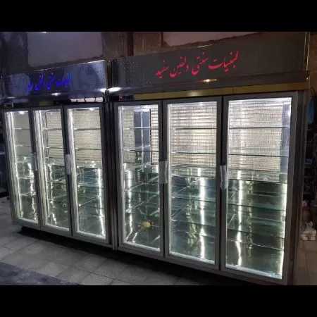یخچال صنعتی دلفین