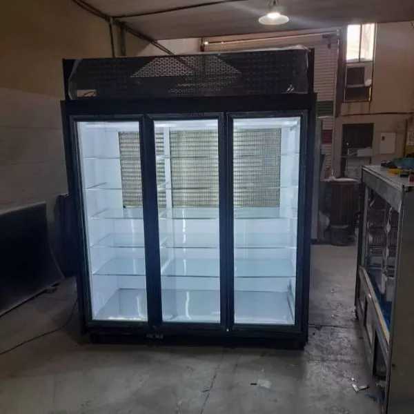 یخچال صنعتی دلفین