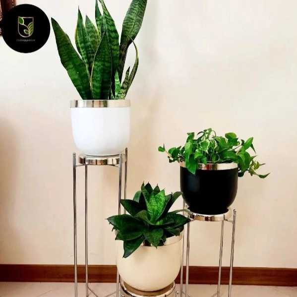 گالری گلدان