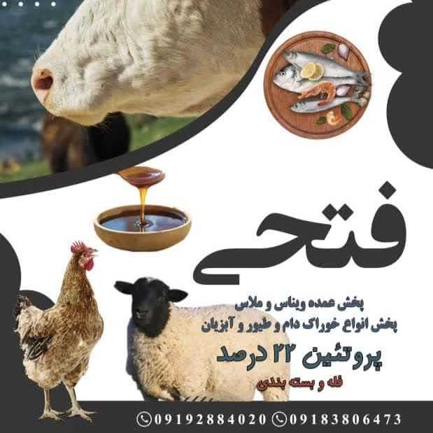 ملاس چغندر فتحی